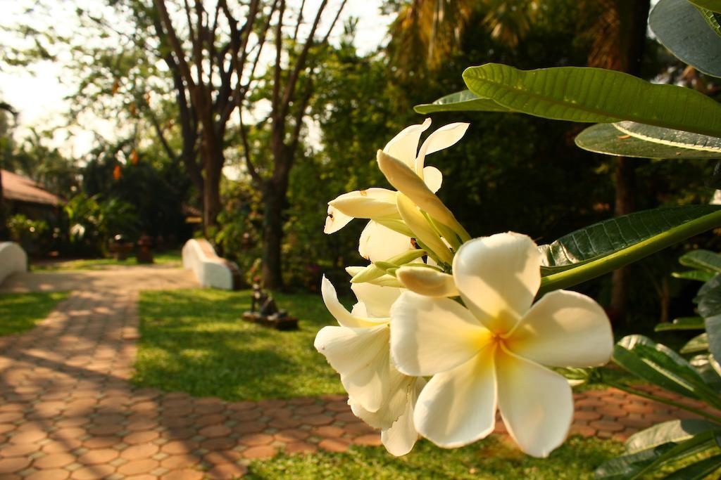 Hotel Secret Garden Chiangmai San Kamphaeng Esterno foto